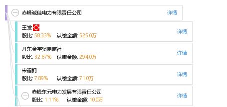 赤峰诚佳电力有限责任公司